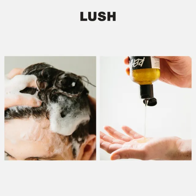 【LUSH 嵐舒】Rehab 水果特調洗髮露 100g(洗髮精/修護/亮澤/調理頭皮/溫和清潔)