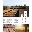 【原木香】官方直營 3入組_肖楠立香_600克/包_和牛級越南翠柏_精選陳年肖楠頭部_尺三尺六任選(肖楠 肖楠香