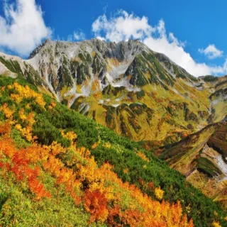 【喜鴻假期】【經典名古屋．秋遊黑部立山５日】名古屋萬怡、白川鄉合掌村、金澤兼六園、上高地
