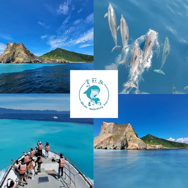 【龜山島賞鯨趣】登島＋環繞宜蘭龜山島八景＋賞鯨（三合一）假日不加價(歐享券-玩樂/生活券)