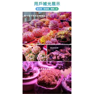 【ROYAL LIFE 皇室生活】LED可定時植物生長燈-三管 2入組(多肉植物燈/水草燈/花卉燈/夾燈/燈條/檯燈)