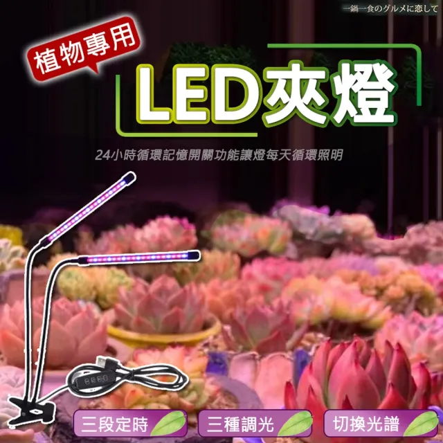 【ROYAL LIFE 皇室生活】LED可定時植物生長燈-三管 2入組(多肉植物燈/水草燈/花卉燈/夾燈/燈條/檯燈)