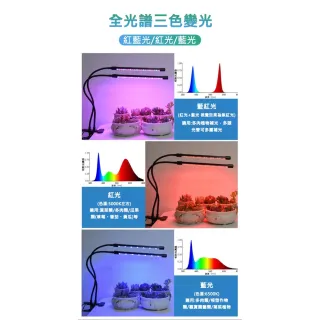 【ROYAL LIFE 皇室生活】LED可定時植物生長燈-四管 2入組(多肉植物燈/水草燈/花卉燈/夾燈/燈條/檯燈)