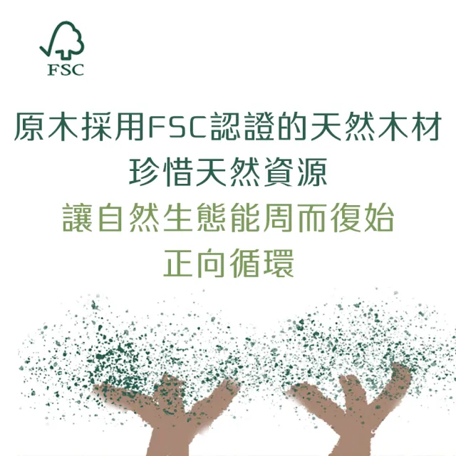 【BRAUN WETTBURG 珀薇】德國製白豚鬃按摩乾刷(乾刷/沐浴按摩美容/雙11)