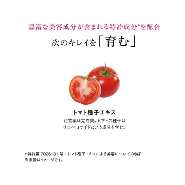 【日本SHISEIDO 資生堂】頂級The Collagen膠原蛋白豪華錠12種美容成分X2(126粒/包)