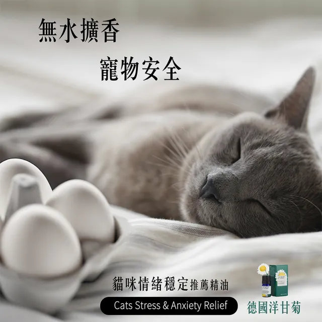 【The Nature of things 自然之事】精油擴香蛋4入禮盒(矽藻土吸濕防潮/車用擴香/去異味/辦公室開運)