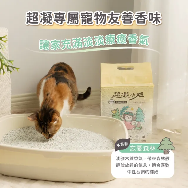 【超凝小姐】0碎塊超凝結混合砂 2.4kgx6入組-忘憂森林香(貓砂盆清潔/根除臭源/低粉塵/豆腐砂/木薯砂/貓砂)
