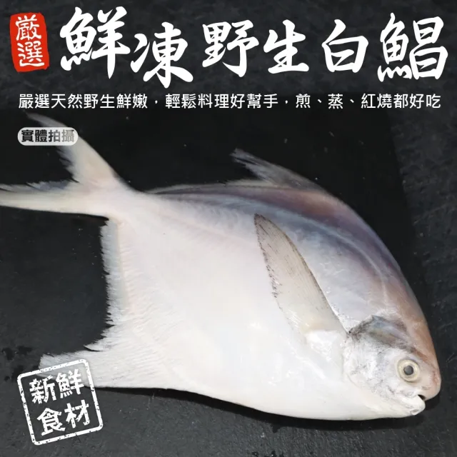 【2026】白鯧魚推薦10款高評價人氣品牌排行榜 | BALIMAN情報局