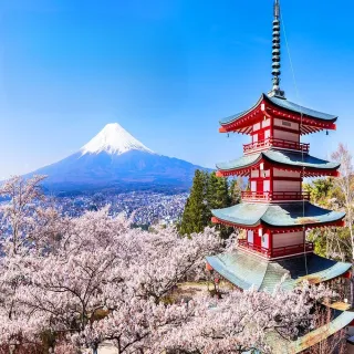 【喜鴻假期】【高雄出發．東京賞櫻半自助６日】螃蟹吃到飽、敘敘苑燒肉、賞櫻百選、迪士尼、富士山