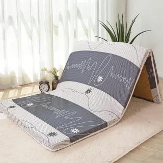 【R.Q.POLO】新絲柔抗菌亞藤蓆5cm折疊床墊-多款任選(單人加大3.5尺)