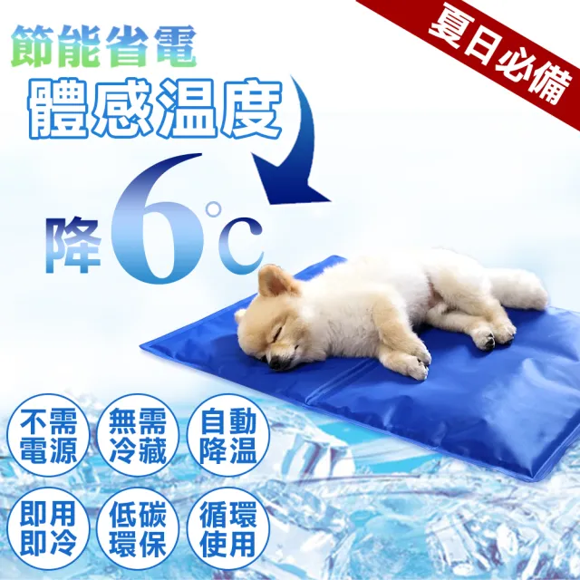 【寵物夢工廠】寵物冰墊XL號90*50cm(貓狗冰墊/人寵可用/筆電散熱/涼墊/狗窩/貓床)