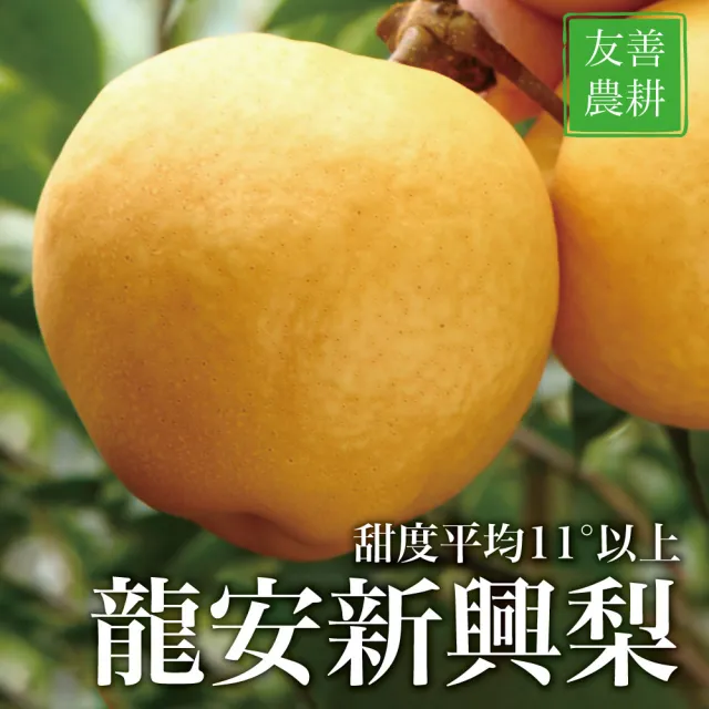 【十翼饌】龍安果園 台中新社特選LV等級新興梨4200gx2盒(700gx6顆入/盒_TVBS採訪_光波水梨_產地直送)