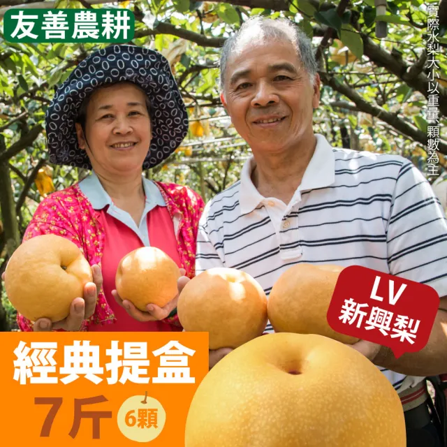 【十翼饌】龍安果園 台中新社特選LV等級新興梨4200gx2盒(700gx6顆入/盒_TVBS採訪_光波水梨_產地直送)