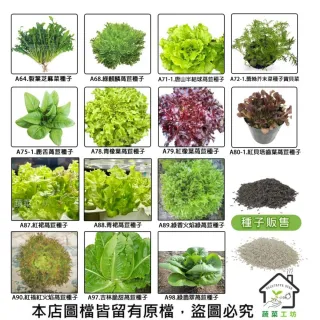 【蔬菜工坊】新手生菜類種子系列-各包裝數量詳見內文及圖片說明
