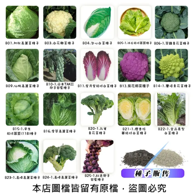 【蔬菜工坊】結球及花菜類種子系列-各種包裝數量詳見內文及圖片(花椰菜 青花菜 萵苣 高麗菜 美生菜)