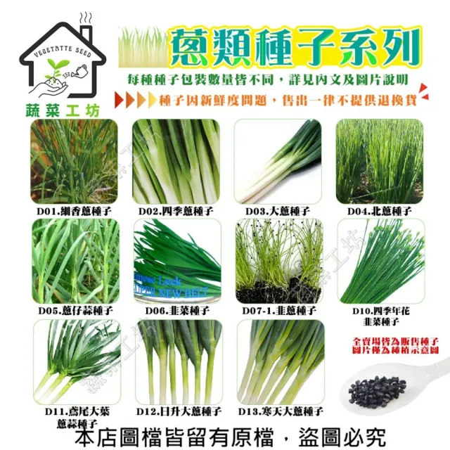 【蔬菜工坊】蔥類種子系列-各種包裝數量詳見內文及圖片說明-蔥 細(蔥 細香蔥 四季蔥 大蔥 北蔥 蔥仔蒜)
