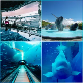 【屏東海洋生物館】單日門票