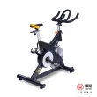 【輝葉】鍊飛輪健身車(心率感應/靜音/室內單車/心律偵測/無段式阻力/HY-20154)