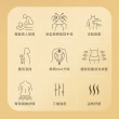 【輝葉】狠狠按深揉捏雙芯按摩椅墊+透氣摺疊涼椅組(按摩坐墊/肩頸按摩 HY-658+HY-CR01)