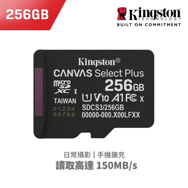 256gb記憶卡