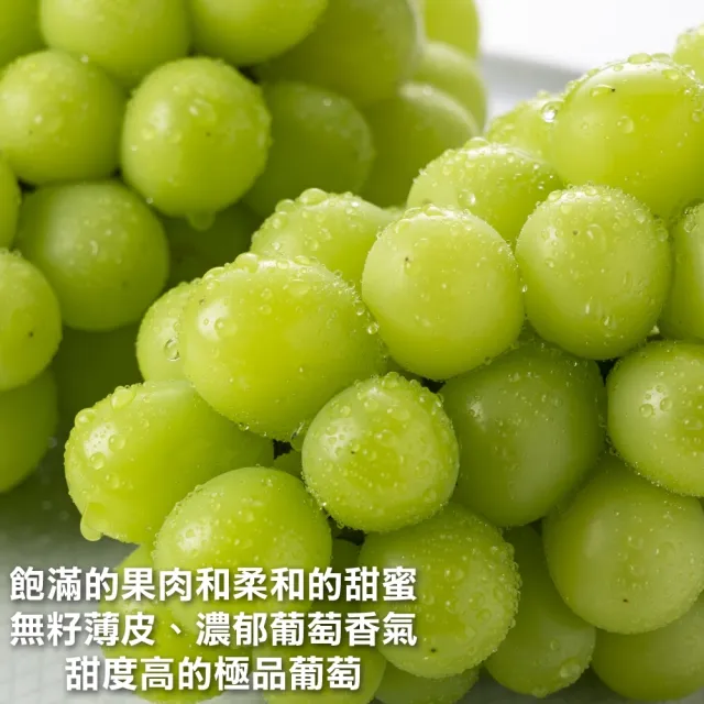 【WANG 蔬果】韓國麝香葡萄1串x1盒(600-700g/串_水果禮盒/三節禮盒)