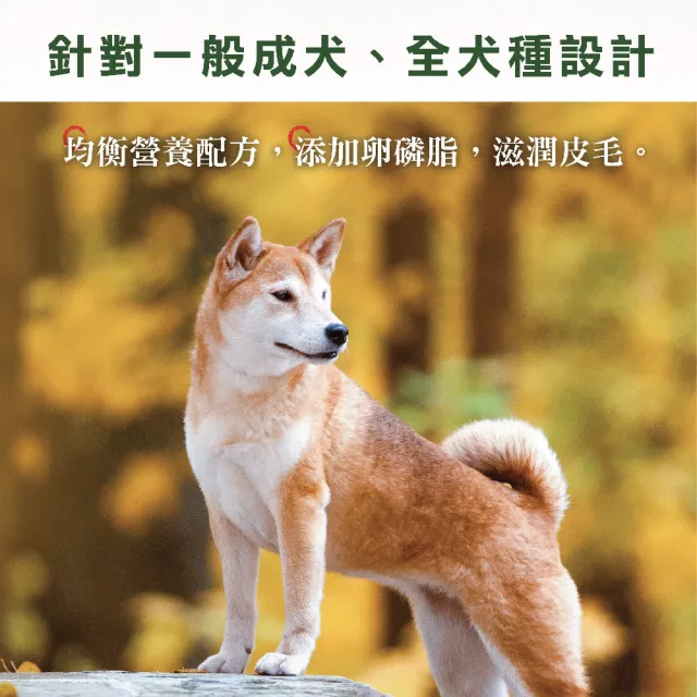 【Donna 多納】健康犬均衡配方狗飼料15kgx10入組-牛肉/雞肉口味(大包裝犬糧/狗園推薦/快速出貨/官方直營)