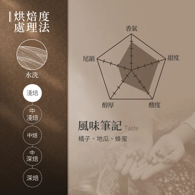 【Buon Caffe 步昂咖啡】接單現烘 精品咖啡豆｜衣索比亞 耶加雪菲 柑橘花蜜 G1 淺焙｜1包入(227g) 父親節