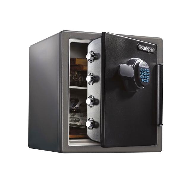 SENTRYSAFE SFW123FSC