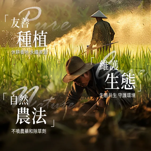 【糖鼎】黑糖/黑糖磚x1包任選(30g x7顆/包；四合一黑糖老薑茶/桂圓紅棗/玫瑰四物/桂圓銀耳/冰糖菊花)
