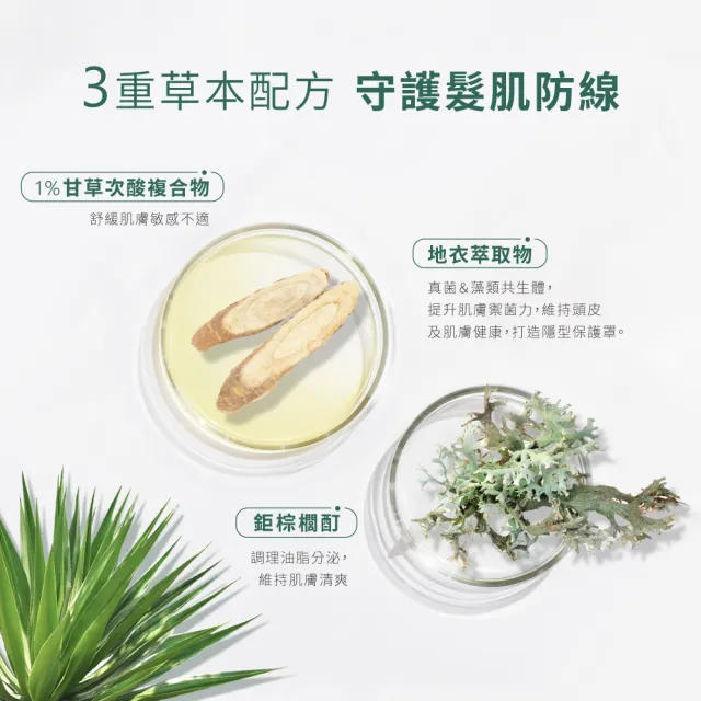 【Aromase 艾瑪絲】5α捷利爾洗髮沐浴露1000ml(洗髮/潔顏/沐浴/3in1)