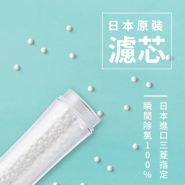 【極淨源】日本原裝蓮蓬頭除氯雙入濾芯(瞬間除氯100%)