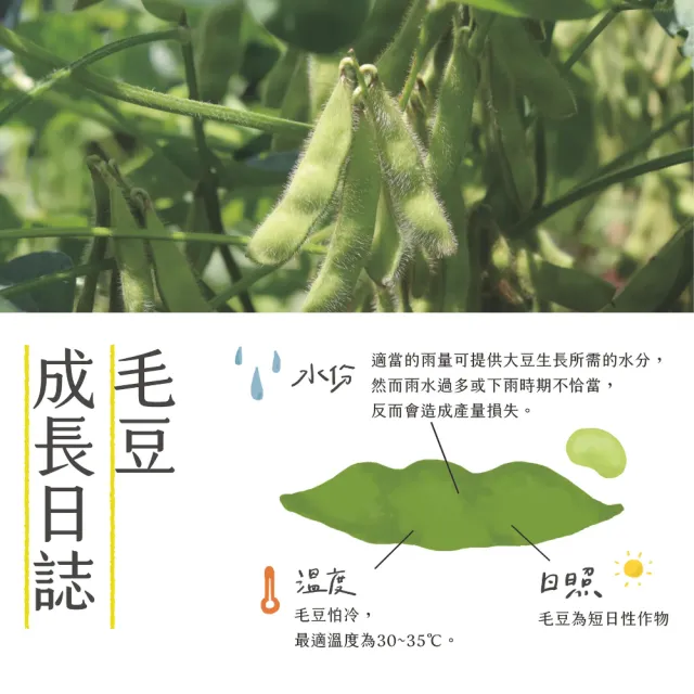 《台南新市區農會》精選毛豆仁x5包(500g/包)