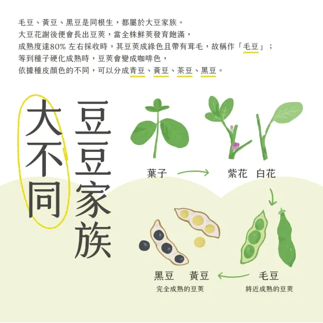 《台南新市區農會》精選毛豆仁x5包(500g/包)
