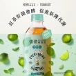 【惜惜】康普茶氣泡飲420mlx24入/箱(荔枝蘋果/酸甜青梅/薄荷檸檬)