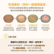 【汪喵星球】貓用FANTASTIC 98%鮮肉無膠主食罐165g*12入(貓主食罐 全齡貓)