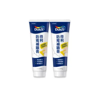 【Dulux得利官方店】A888 防霉抗菌補牆膏（2入組裝）(牆面修補)