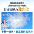【白鴿】潔衣芯錠30顆(洗衣球/洗衣膠囊/一顆搞定)