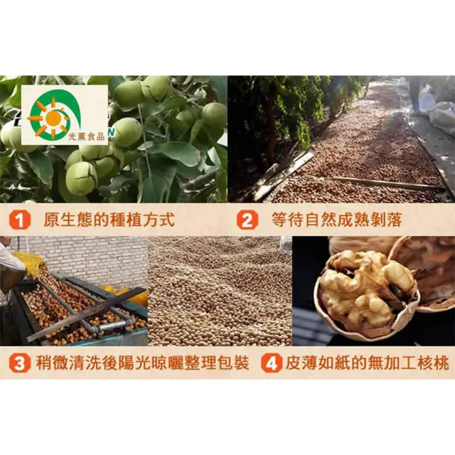 【Guang Xun 光薰】十包組 原味紙皮核桃(頂級新疆無農藥核桃 台灣伴手禮 過年送禮推薦 原味無調味堅果)