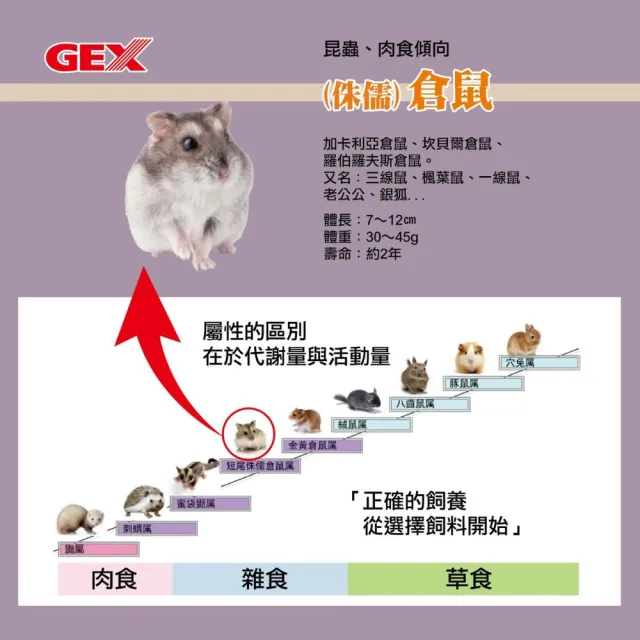【GEX】優質蛋白質主食RNA配方 黃金鼠/迷你倉鼠 400g(倉鼠飼料、黃金鼠飼料、鼠主食、熊鼠、波利鼠)