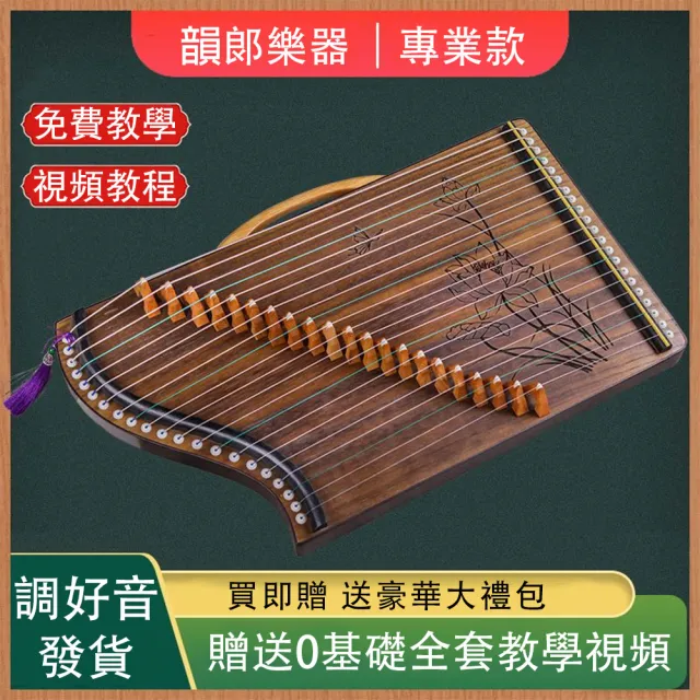 古箏古箏練指器21弦(專業版演奏級考級) - momo購物網- 好評推薦-2026年9月