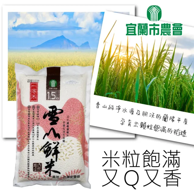 【農會】宜蘭市農會 雪山鮮米1.5kgx6包(一等米)