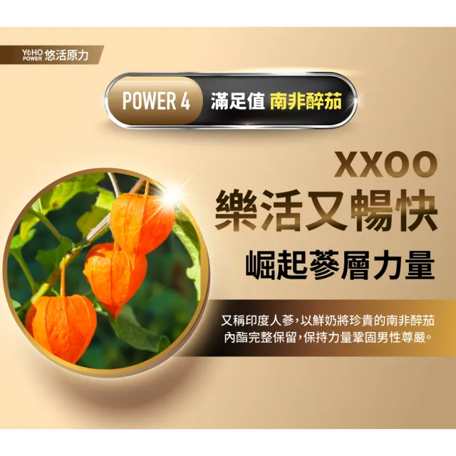 【悠活原力】原力黑馬卡精胺酸粉包3盒-能量飲風味(20包/盒 瑪卡 鋅酵母 南非醉茄 透納葉)