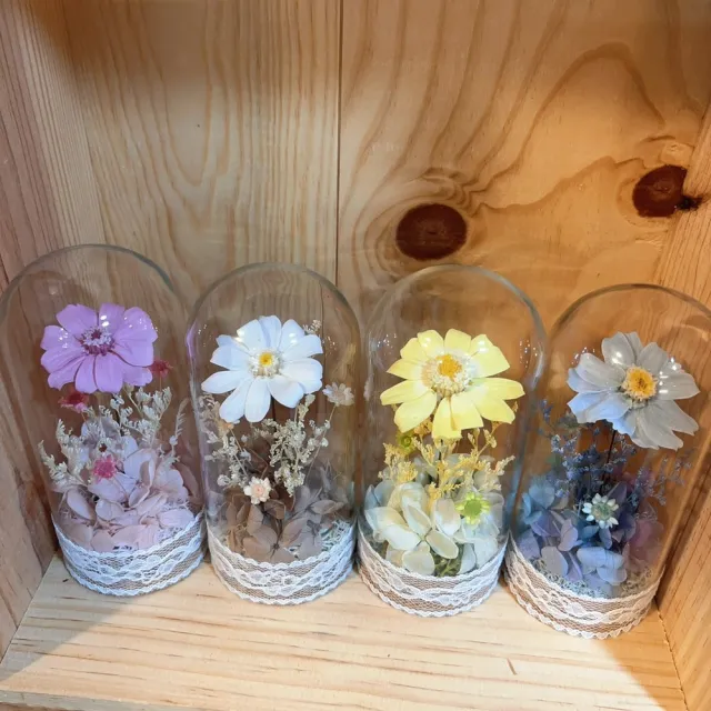 【OSTARA FLORIST 奧斯塔拉花藝】時光百日 永恆之詩(永生花、百日菊、花禮、祝賀、情人節、交換禮物、擺飾)