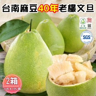 【禾鴻】台南麻豆40年老欉文旦禮盒10斤x2箱(8-10顆/箱_SGS+產地團體標章_中秋送禮)