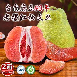 【禾鴻】台南麻豆40年老欉文旦紅柚禮盒10斤x2箱(6-10顆/箱_SGS+產銷履歷_中秋送禮)
