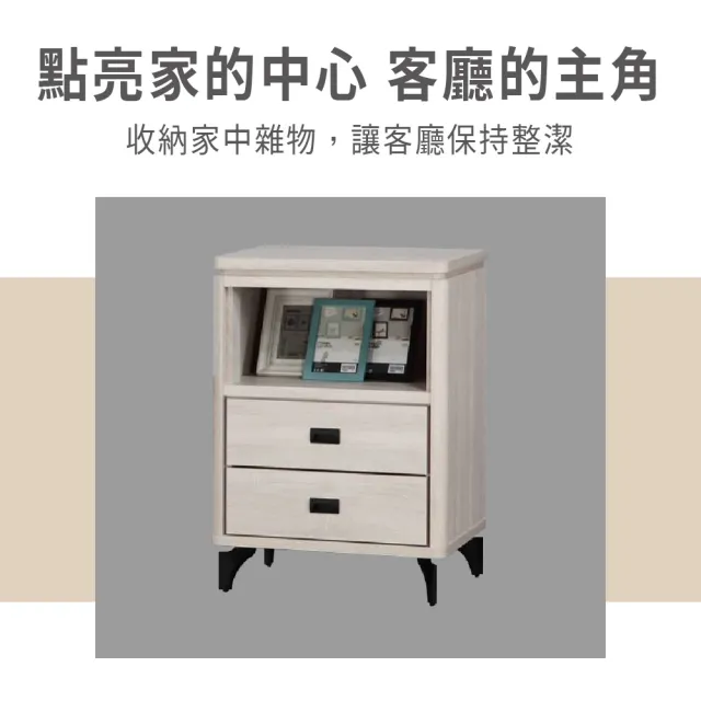 【ASSARI】2尺成吉收納櫃(寬60x深40x高82cm)