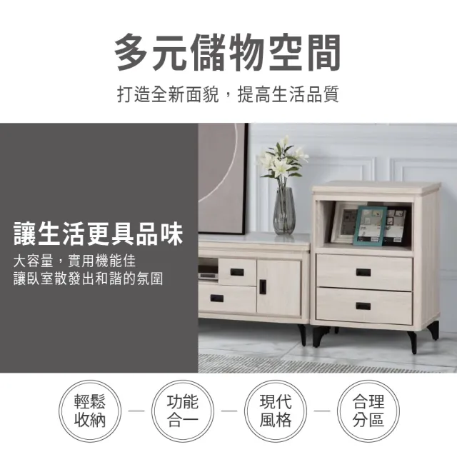 【ASSARI】2尺成吉收納櫃(寬60x深40x高82cm)