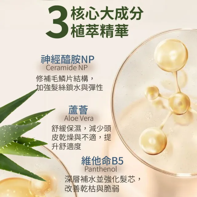 【AUS LIFE 澳思萊】BC黃金玫瑰B5洗髮精500ml(洗護2in1 金耀修護富養秀髮)