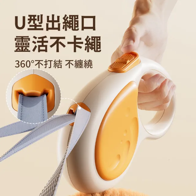 【Bayler】寵物外出自動伸縮牽引繩-5M(耐用防爆沖狗狗牽繩 防走失寵物牽繩 遛狗繩)