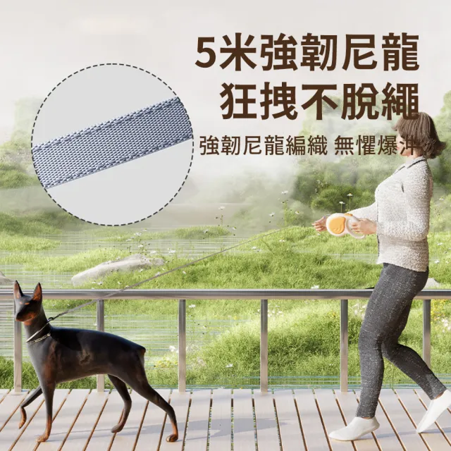 【Bayler】寵物外出自動伸縮牽引繩-5M(耐用防爆沖狗狗牽繩 防走失寵物牽繩 遛狗繩)